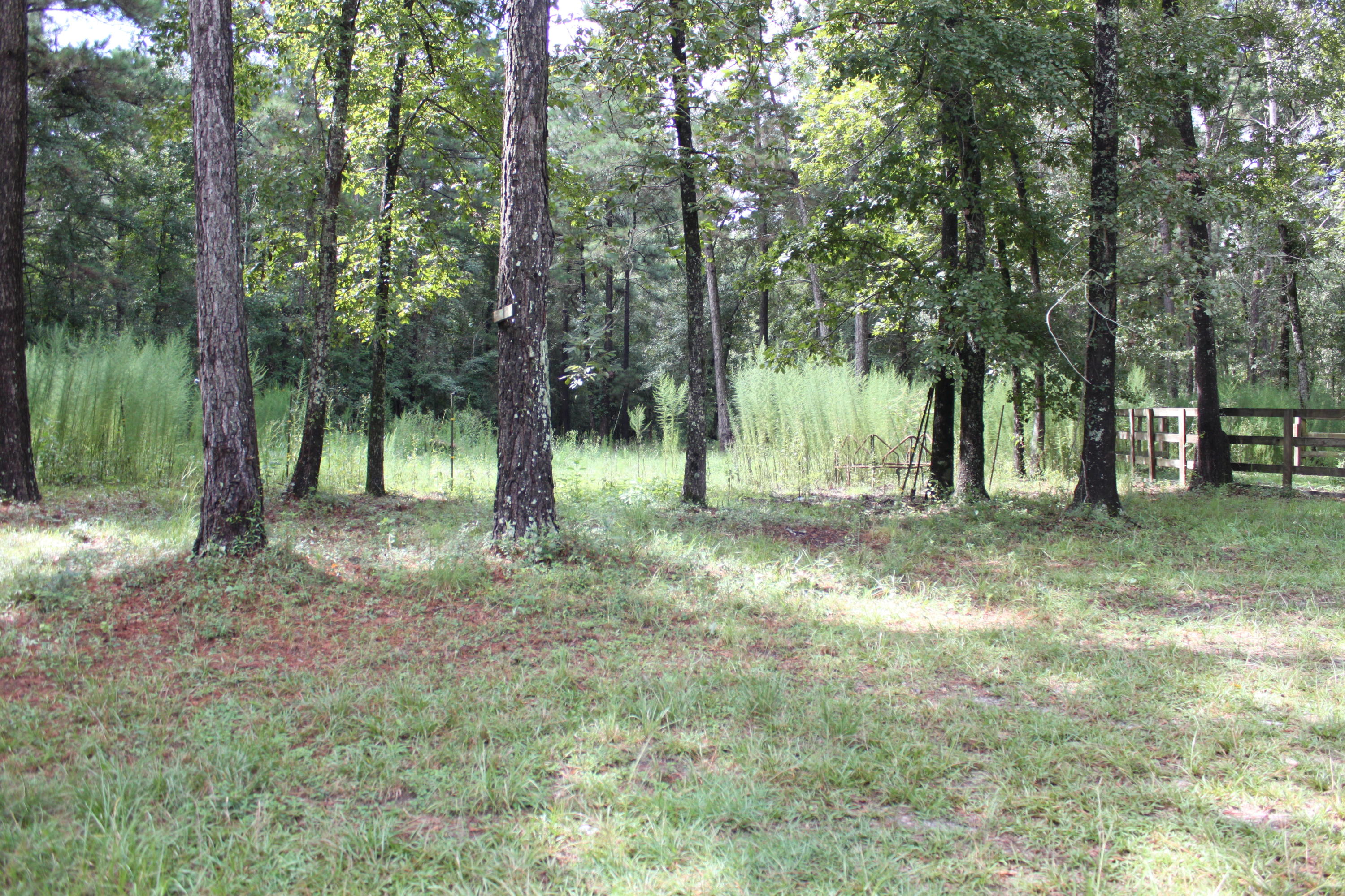 313 Old Spell Road St. George, SC 29477 - Photo 5 of 14 IMG_1858