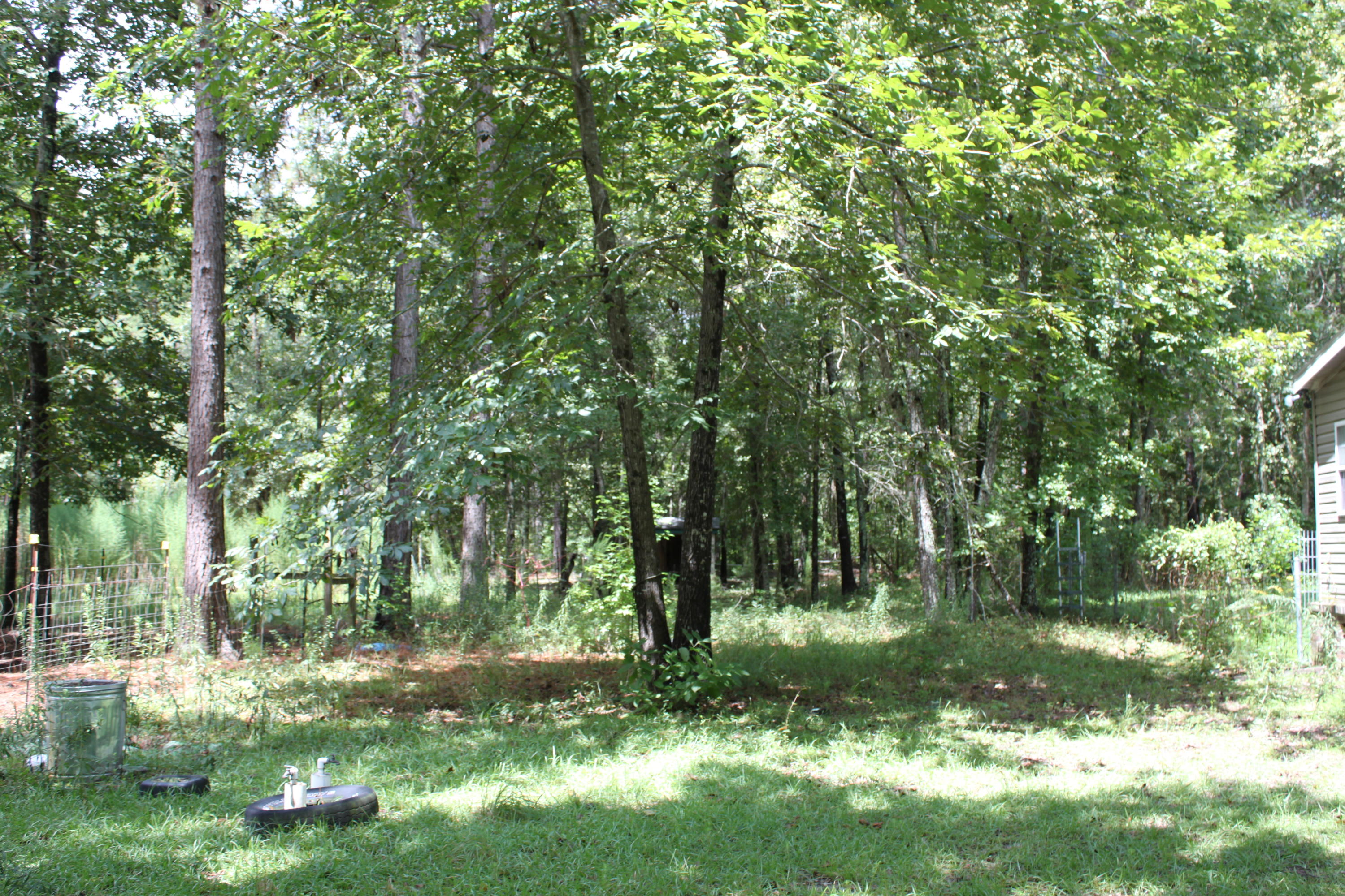 313 Old Spell Road St. George, SC 29477 - Photo 6 of 14 IMG_1885