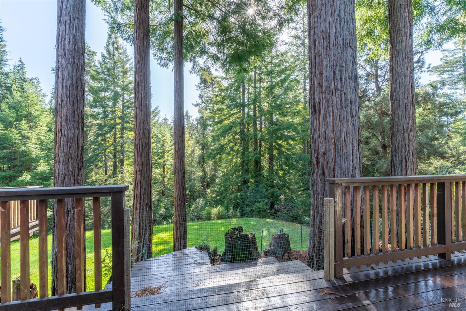 18940 Timber Pointe Drive Fort Bragg, CA 95437 - Photo 10 of 32 View from Back Deck