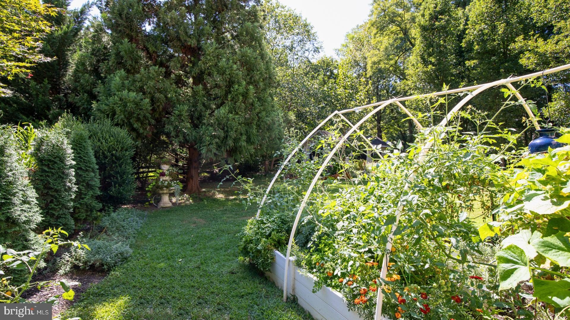 5420 Silo Hill Road Doylestown, PA 18902 - Photo 49 of 53