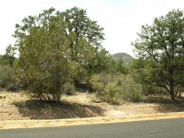 0 North American Ranch Road, Unit 146 Prescott, AZ 86305 - Photo 1 of 6 Primary Photo