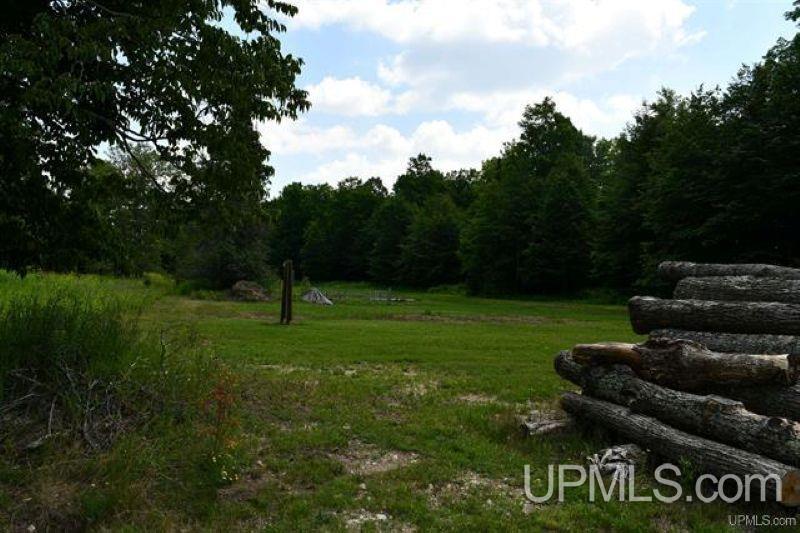 Lot#25 Fordville Road Foster City, MI 49834 - Photo 11 of 27