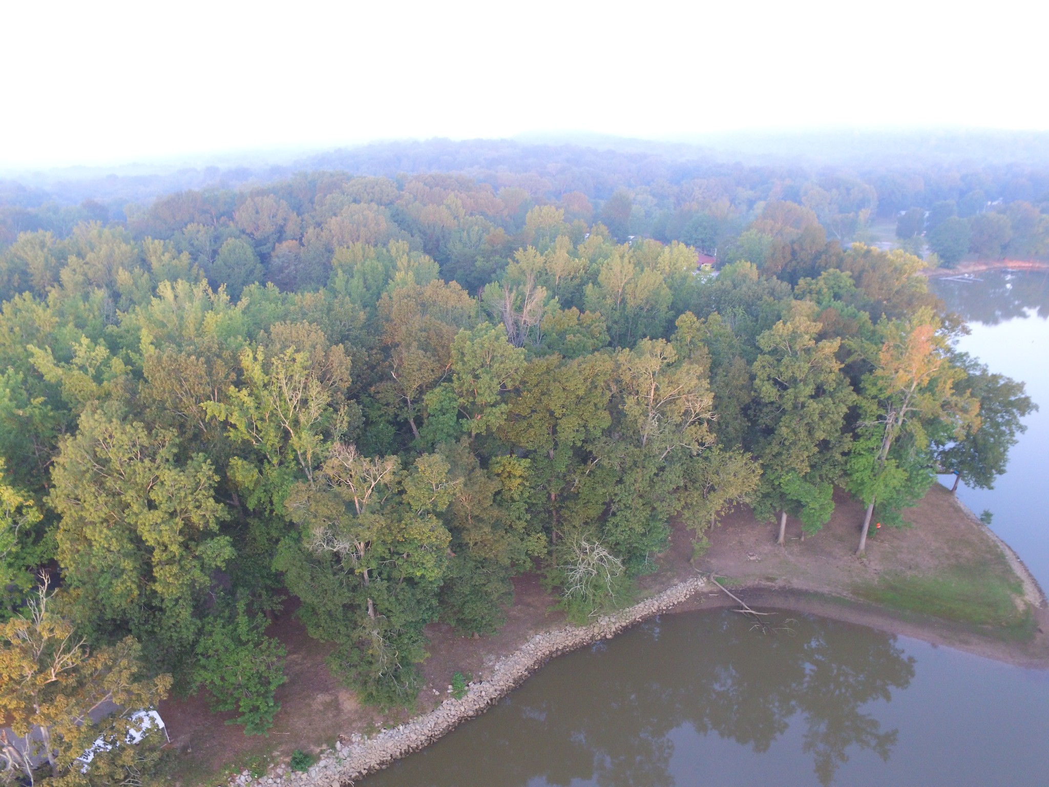 0 Bobs Lake Road Bath Springs, TN 38311 - Photo 2 of 13 an aerial view of a houses with a street