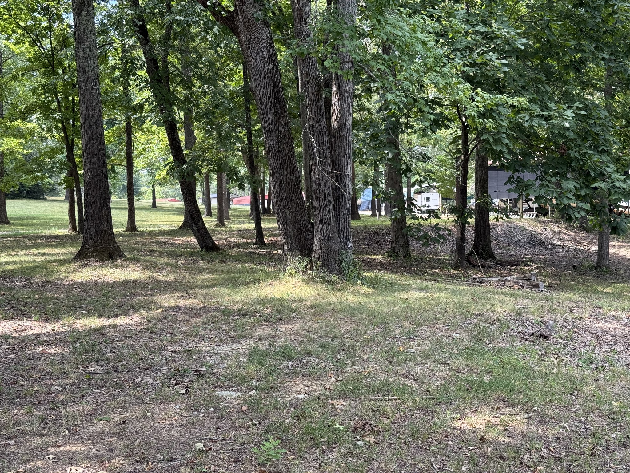 0 Bobs Lake Road Bath Springs, TN 38311 - Photo 4 of 14