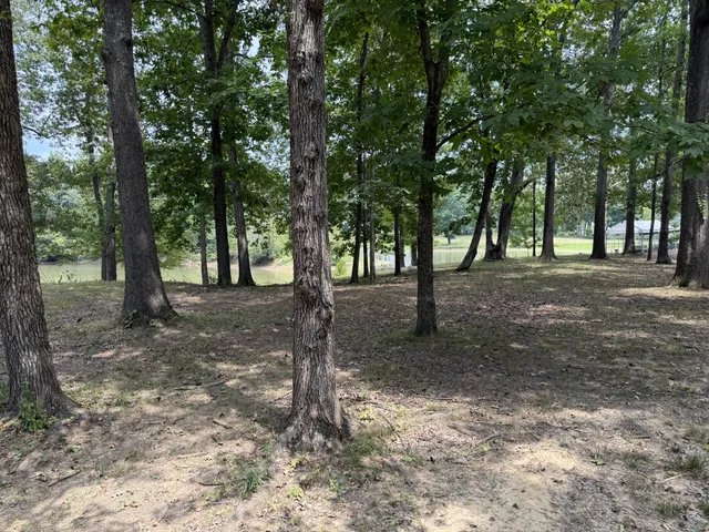 a view of outdoor space with trees