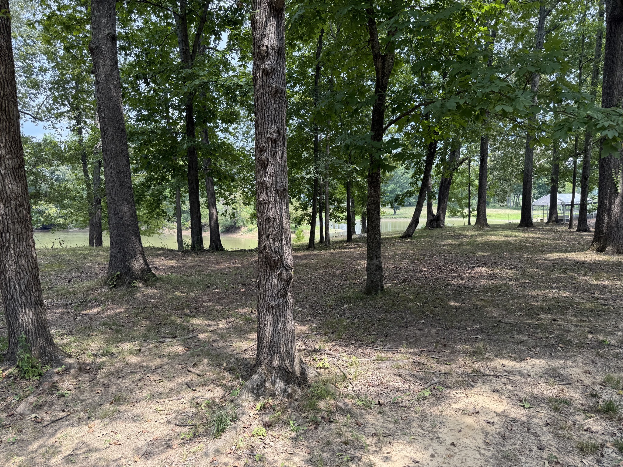 0 Bobs Lake Road Bath Springs, TN 38311 - Photo 5 of 13 a view of outdoor space with trees
