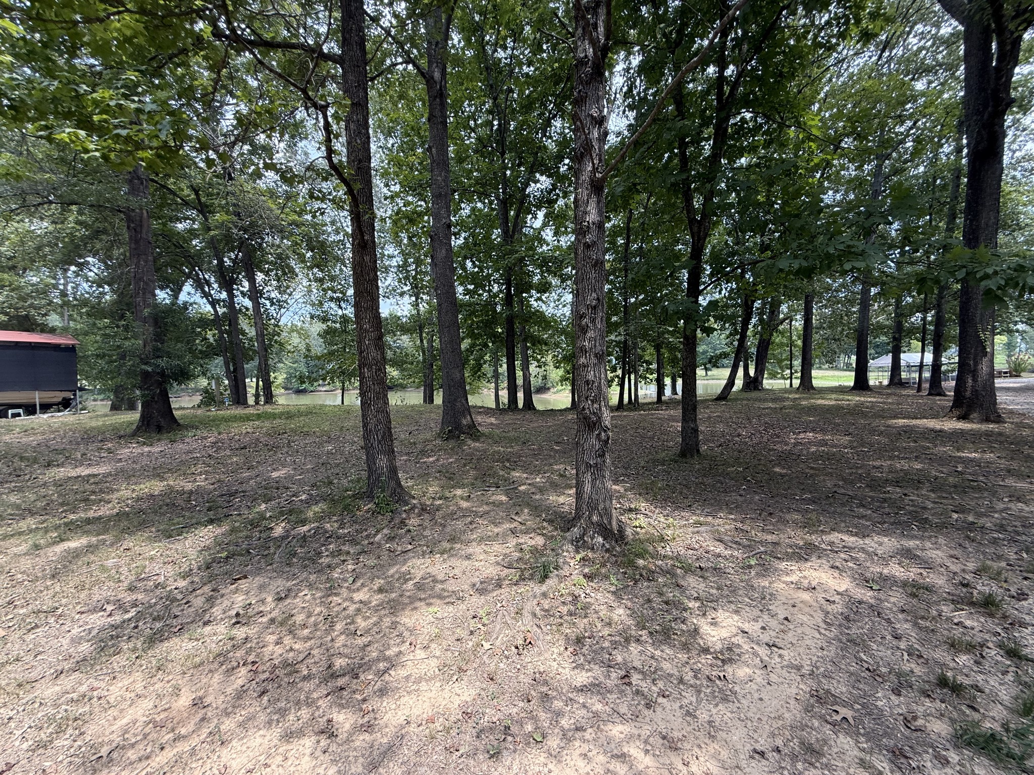 0 Bobs Lake Road Bath Springs, TN 38311 - Photo 6 of 13 a view of outdoor space with trees