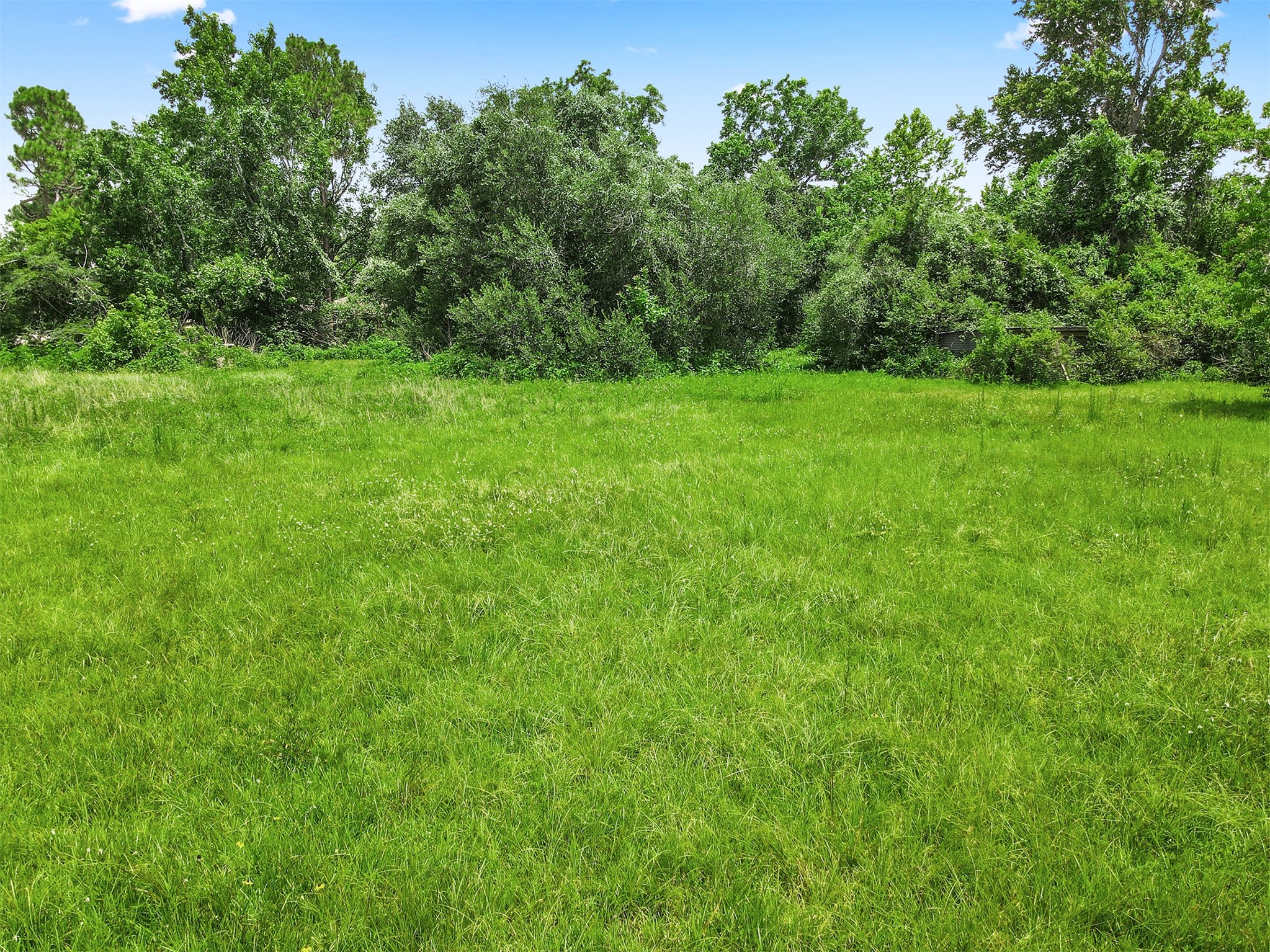 0 Avenue T Santa Fe, TX 77510 - Photo 7 of 9 a view of a green field with trees in the background