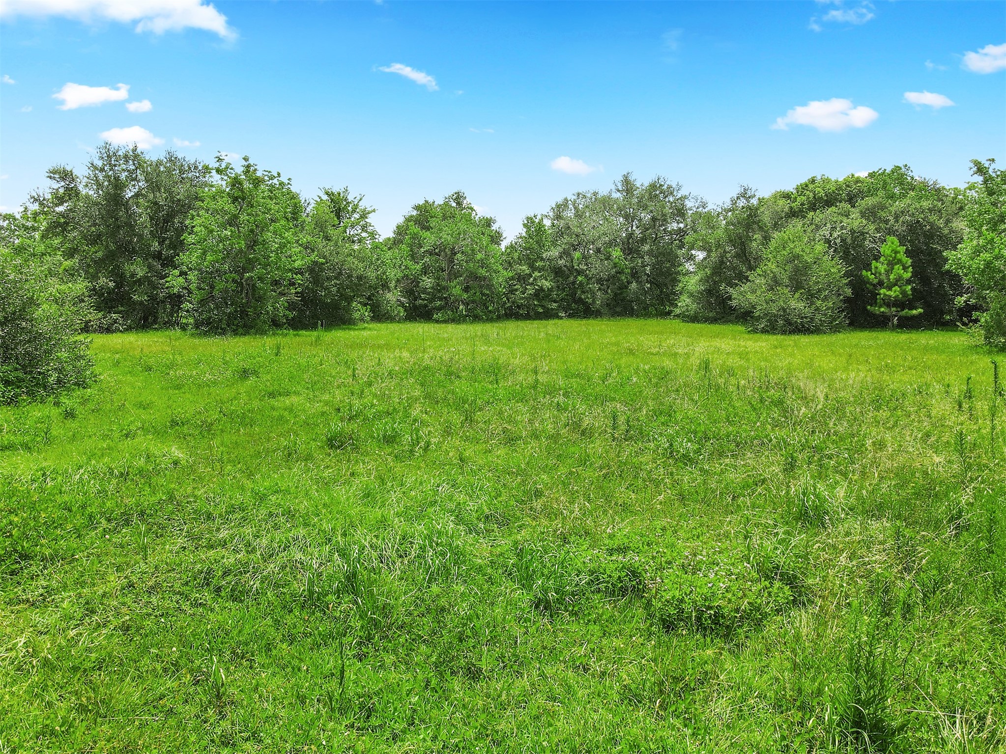 0 Avenue T Santa Fe, TX 77510 - Photo 8 of 9 a view of a yard with a tree