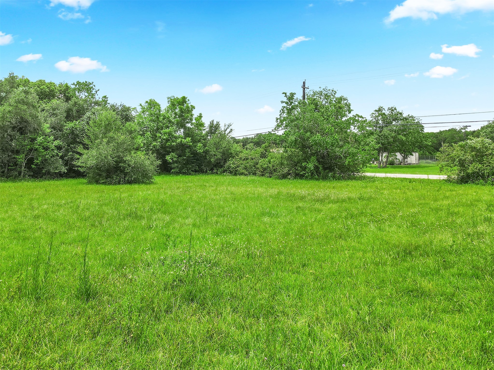 0 Avenue T Santa Fe, TX 77510 - Photo 9 of 9 a view of a big yard with plants and large trees