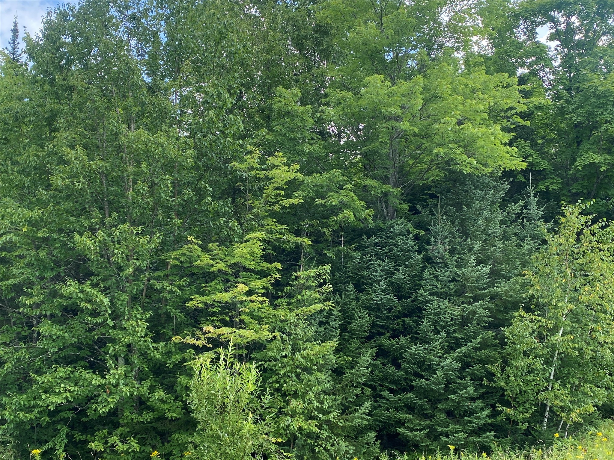 On On Pixley Shores Road Park Falls, WI 54552 - Photo 4 of 10