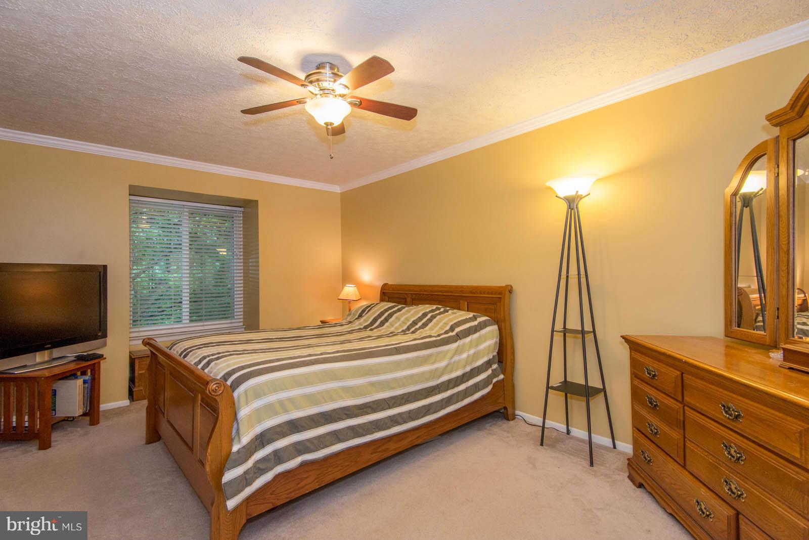 8754 Ridge Hollow Court Springfield, VA 22152 - Photo 13 of 29 Bedroom (Master)