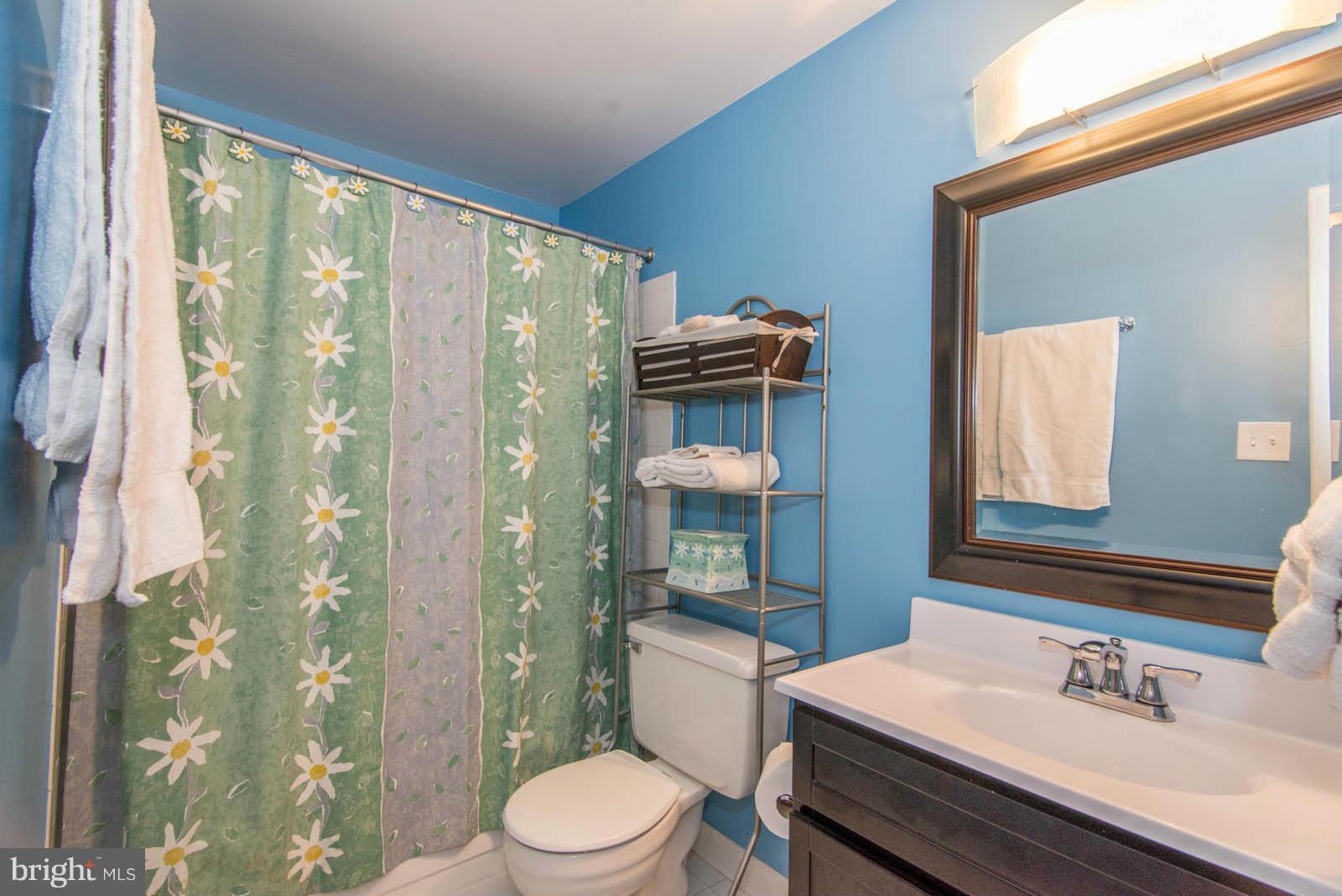 8754 Ridge Hollow Court Springfield, VA 22152 - Photo 21 of 29 Bath