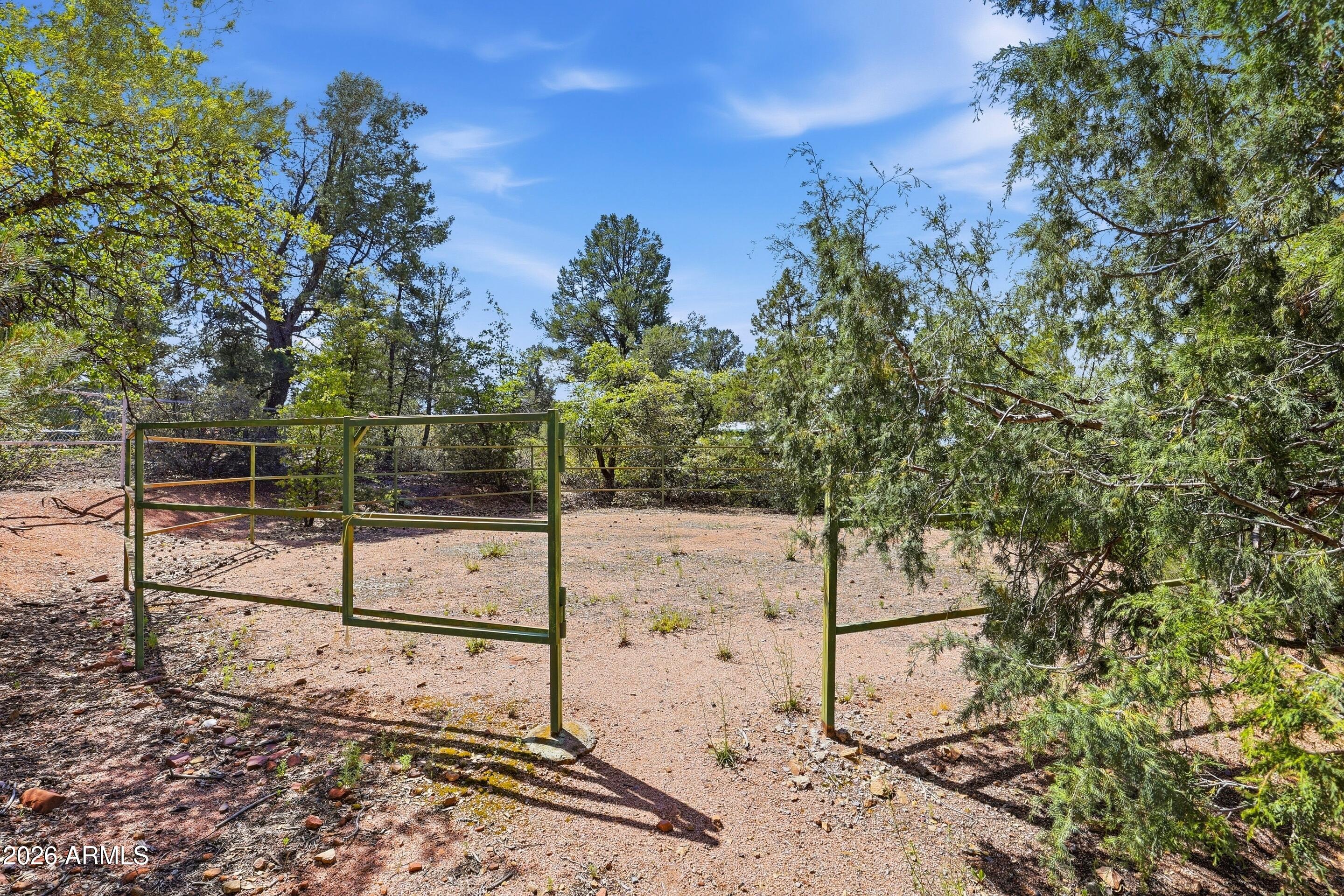 1405 East Graham Rnch Trail Payson, AZ 85541 - Photo 38 of 46 a view of a forest