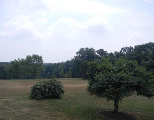 155 Country Lane Road Butler, PA 16001 - Photo 15 of 16 Land/Lot.