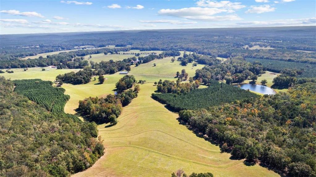 5225 Chalybeate Springs Road Woodland, GA 31836 - Photo 28 of 100