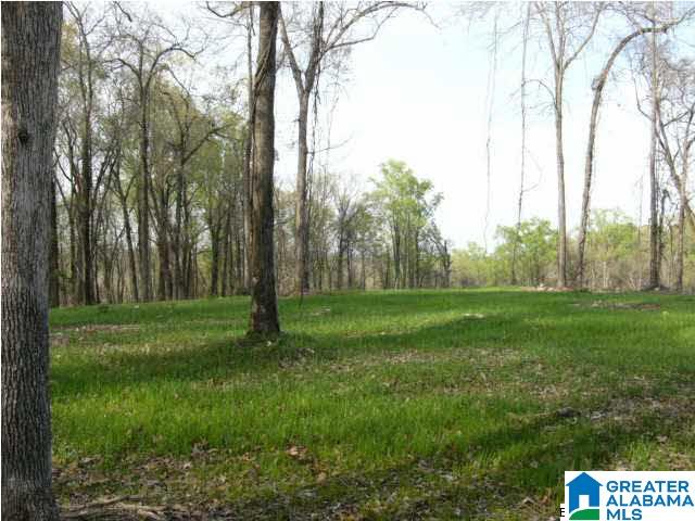 0 Spring Creek Road, Unit 30 AC Calera, AL 35040 - Photo 11 of 20