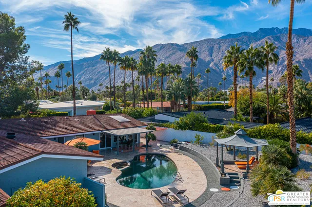 a view of a backyard with plants and large trees