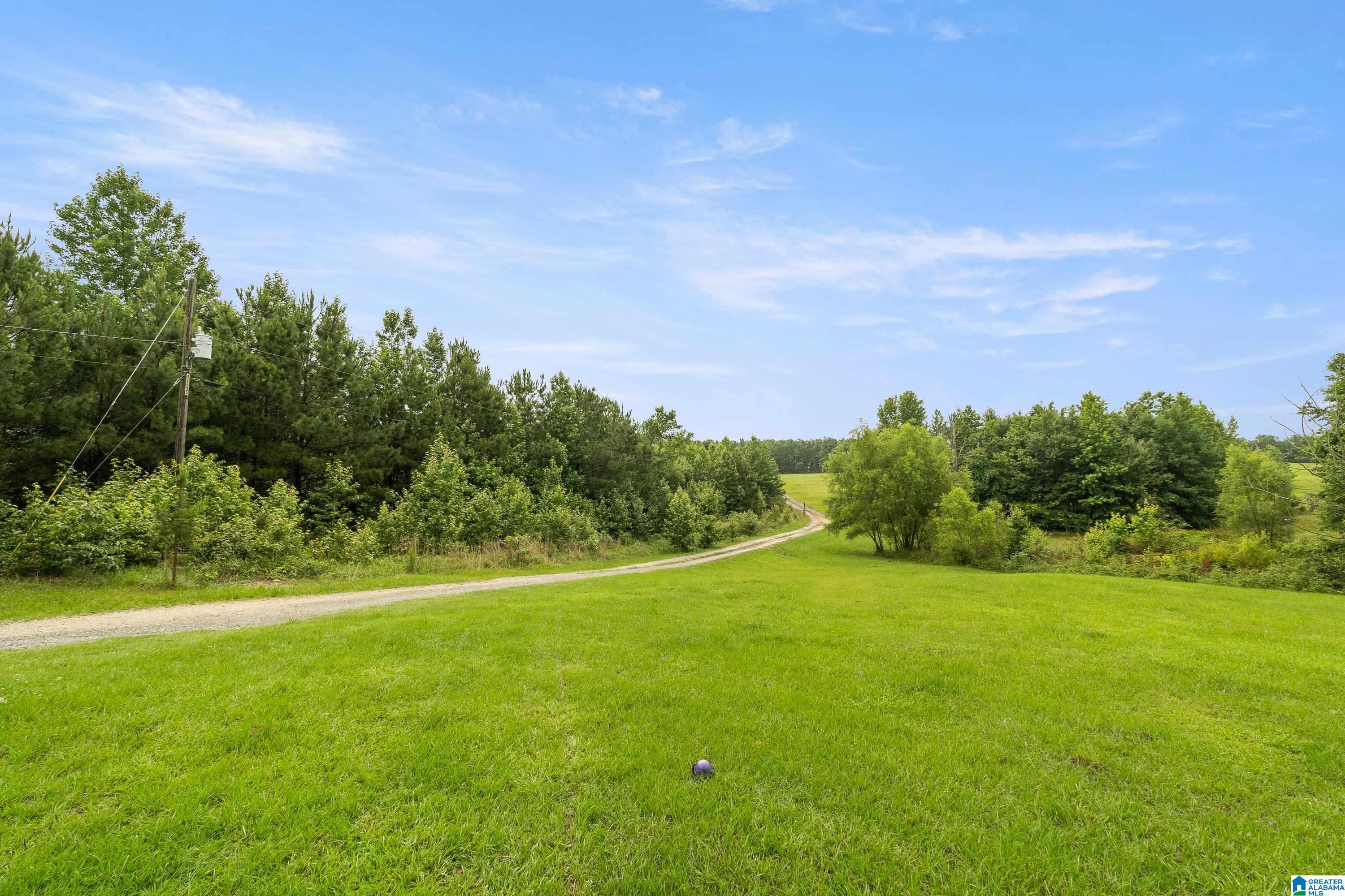 1484 Jones Chapel Loop, Unit 1484 Springville, AL 35146 - Photo 25 of 27