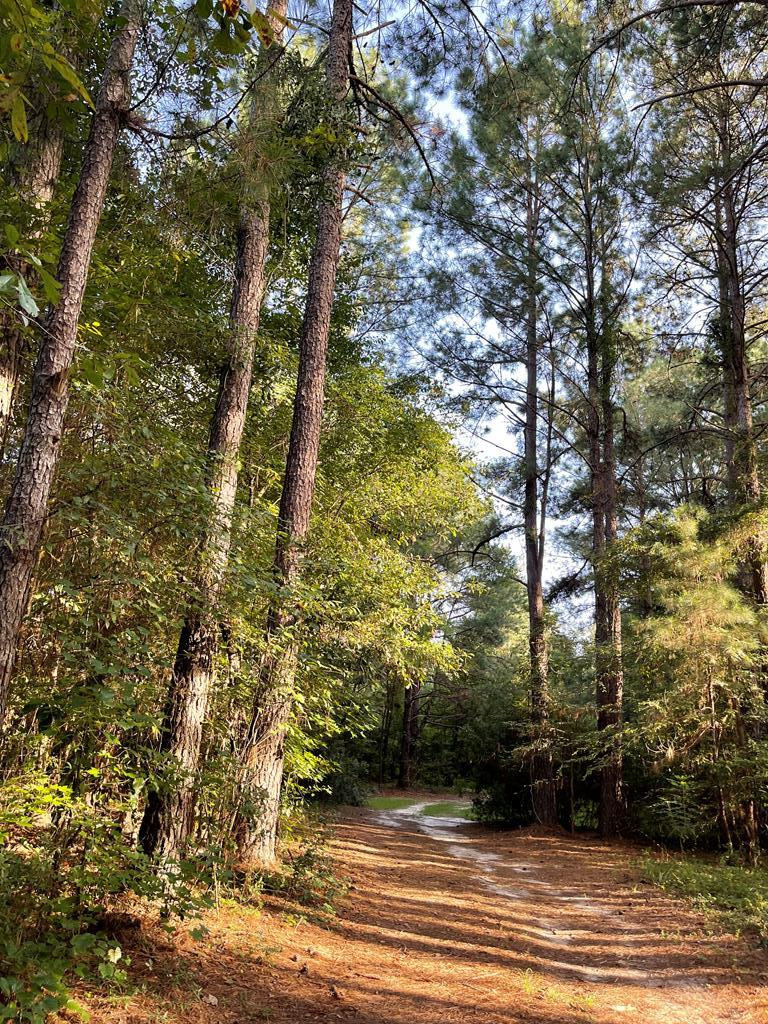 6990 Gilligan Road Sumter, SC 29154 - Photo 35 of 41