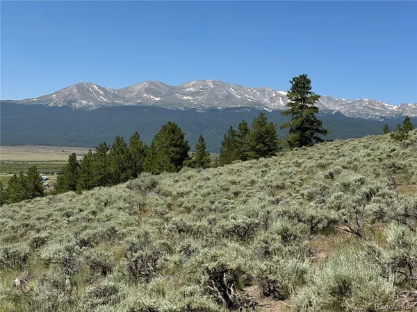 a view of a dry yard with mountains in the background