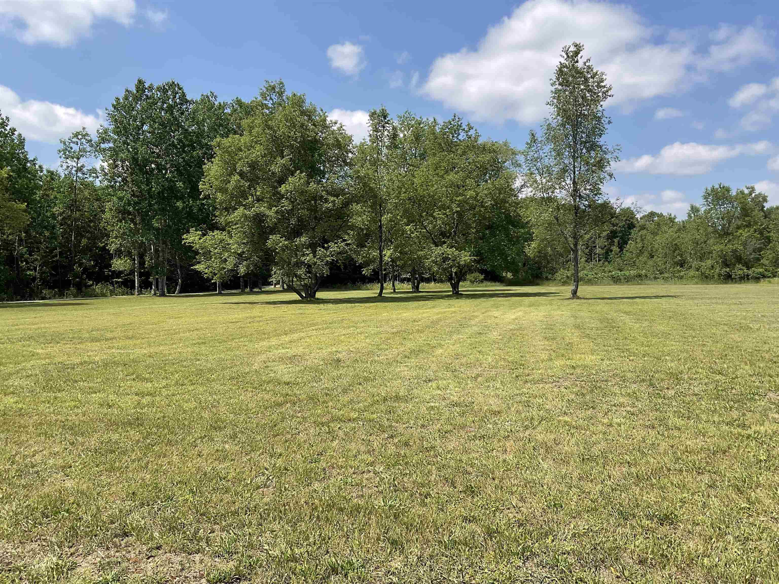 10694 Freeman Road Mesick, MI 49668 - Photo 39 of 39