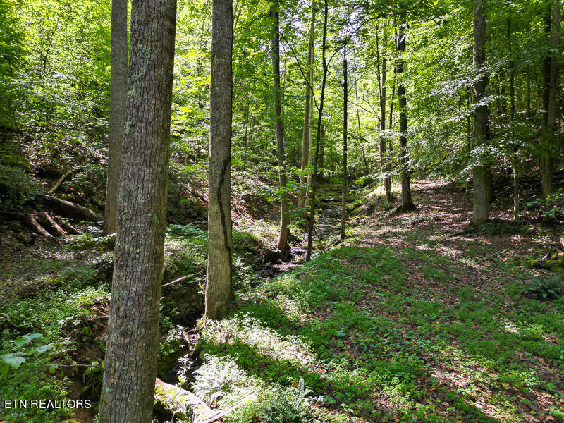 437 Taylor Acuff Road Washburn, TN 37888 - Photo 23 of 24 031--SMALL