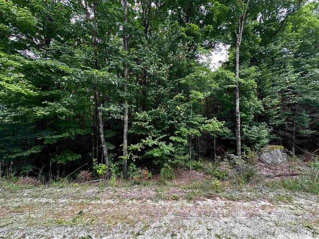 $119,900 | 62 Patterson Road, Wilmot, NH 03287