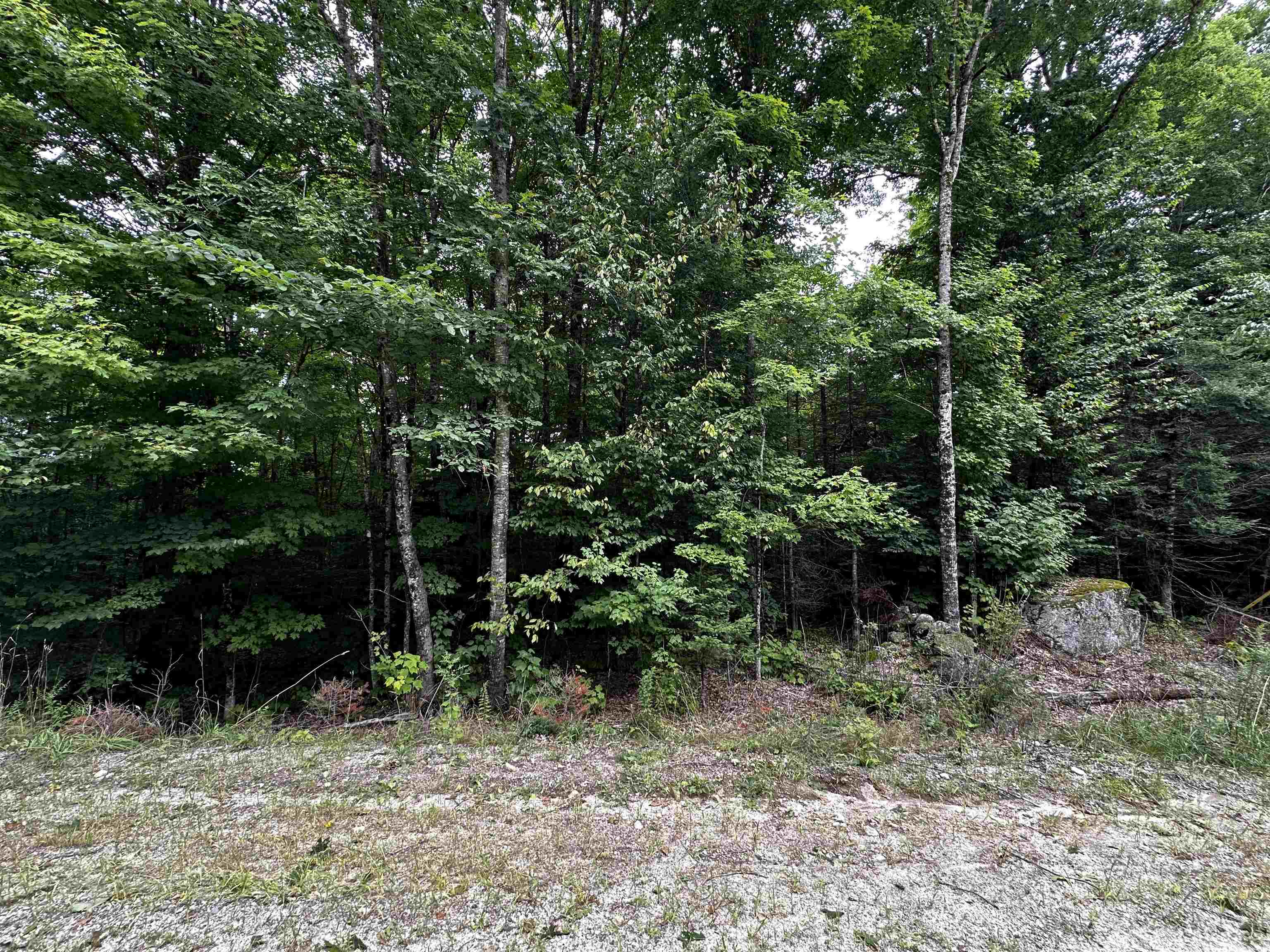 62 Patterson Road Wilmot, NH 03287 - Photo 3 of 4