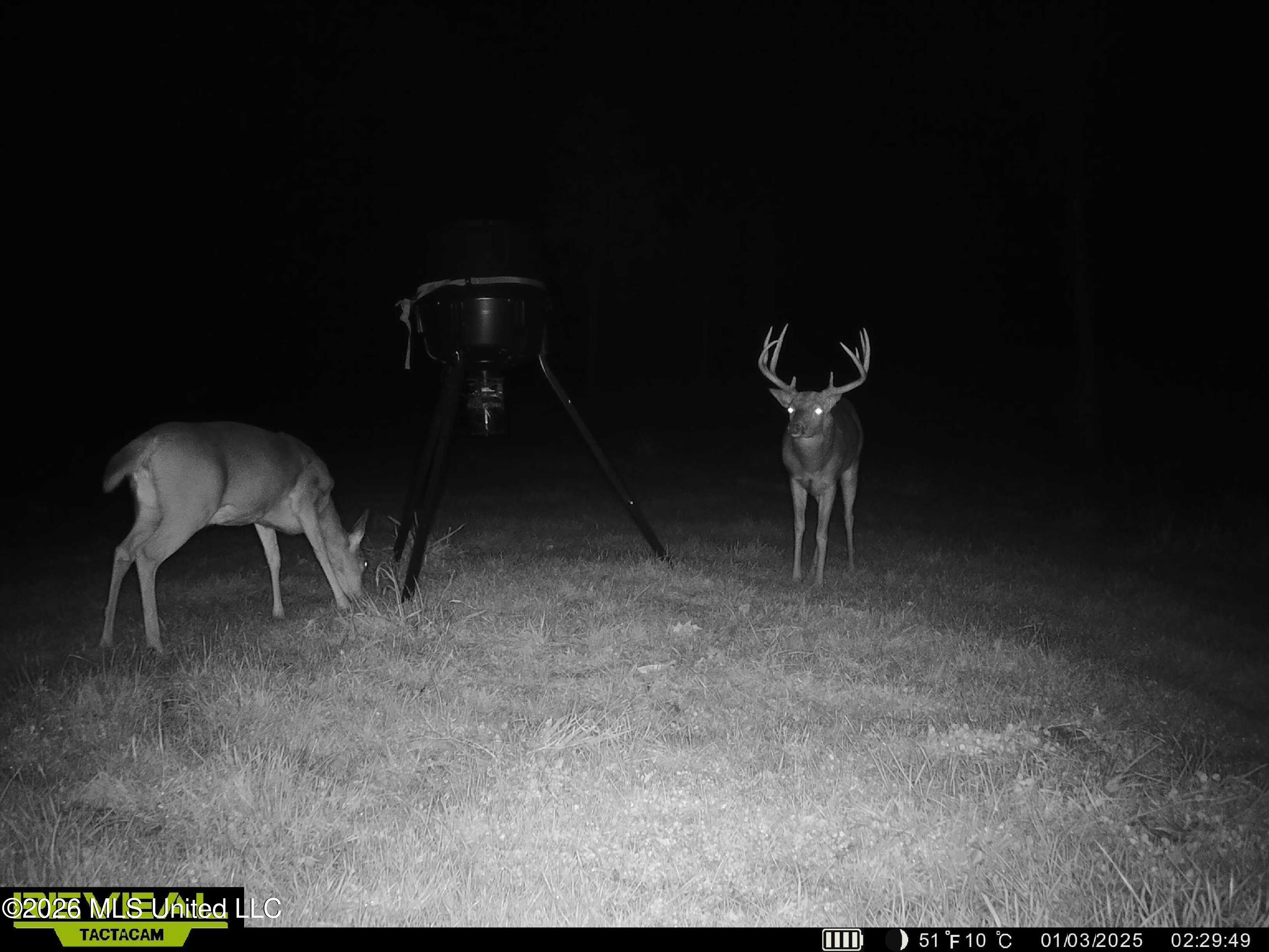 53 Cliffs Plantation Road Natchez, MS 39120 - Photo 20 of 23 SYEW3105