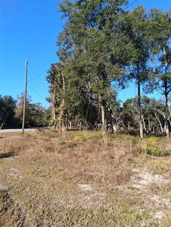 a view of a yard with an trees