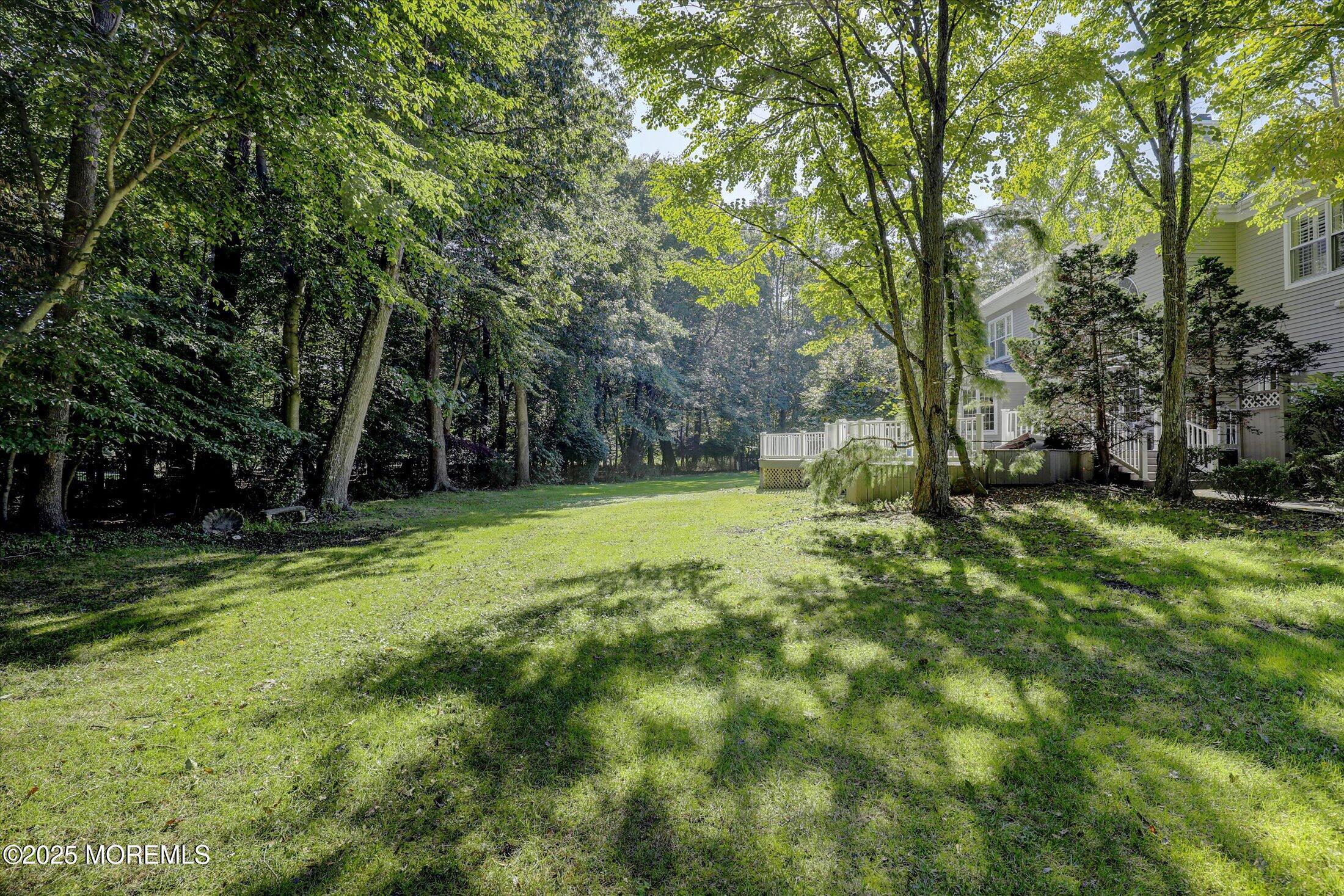 26 Bruns Road West Allenhurst, NJ 07711 - Photo 60 of 66 a view of a backyard with large trees