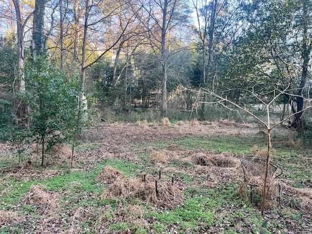 3833 Leander Court Tucker, GA 30084 - Photo 24 of 29 a backyard of a house with lots of green space