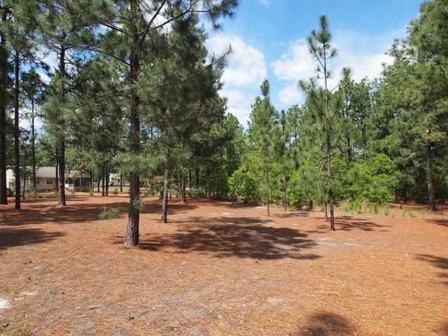 110 Sandy Ridge Road West End, NC 27376 - Photo 22 of 22 Additional Photo