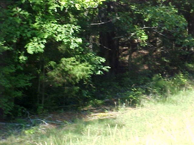 0 Lower Glass Bridge Road LaGrange, GA 30240 - Photo 2 of 2 Gallery Image 2