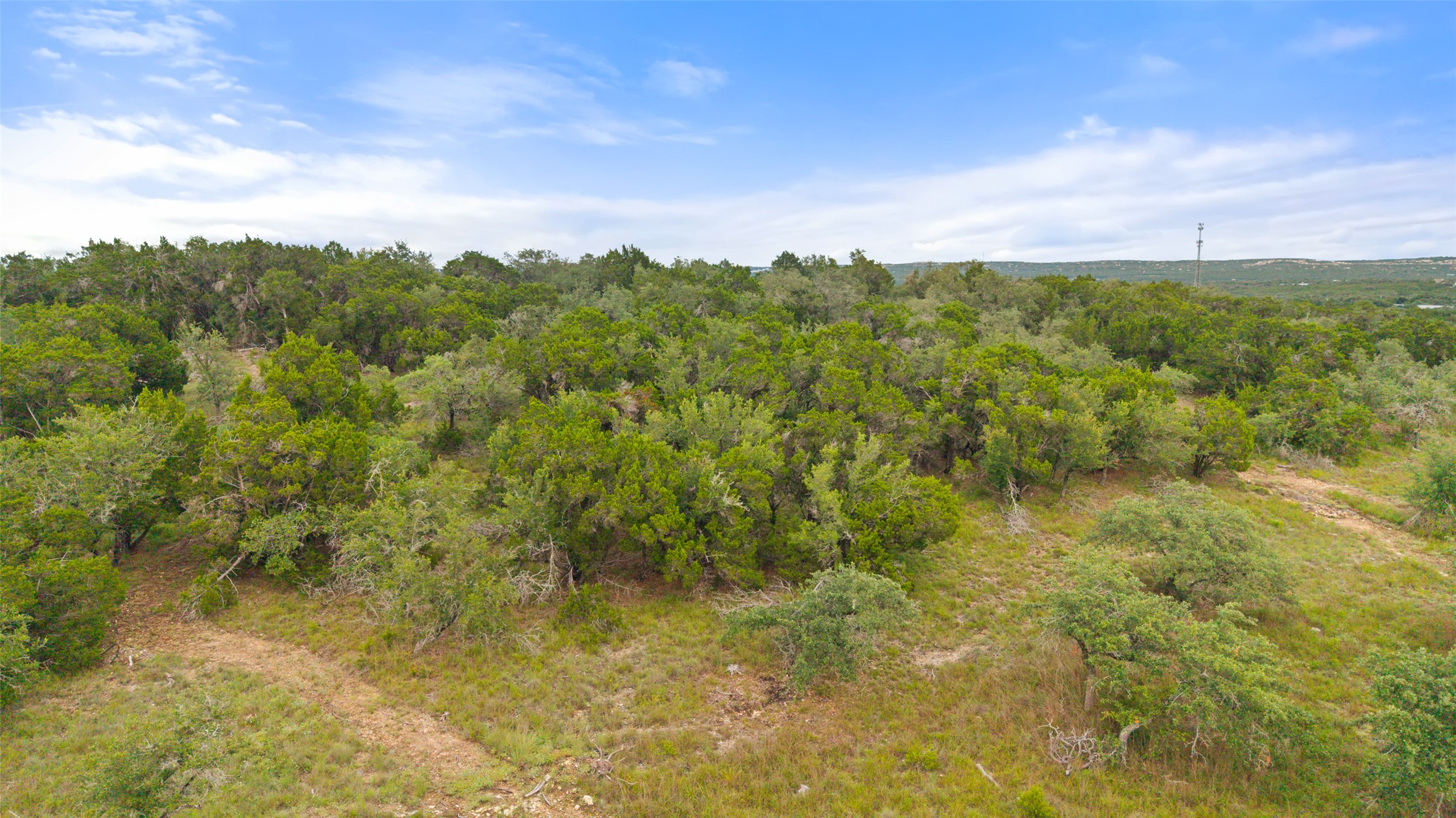 31930 Mirela Ann Road Dripping Springs, TX 78620 - Photo 7 of 12