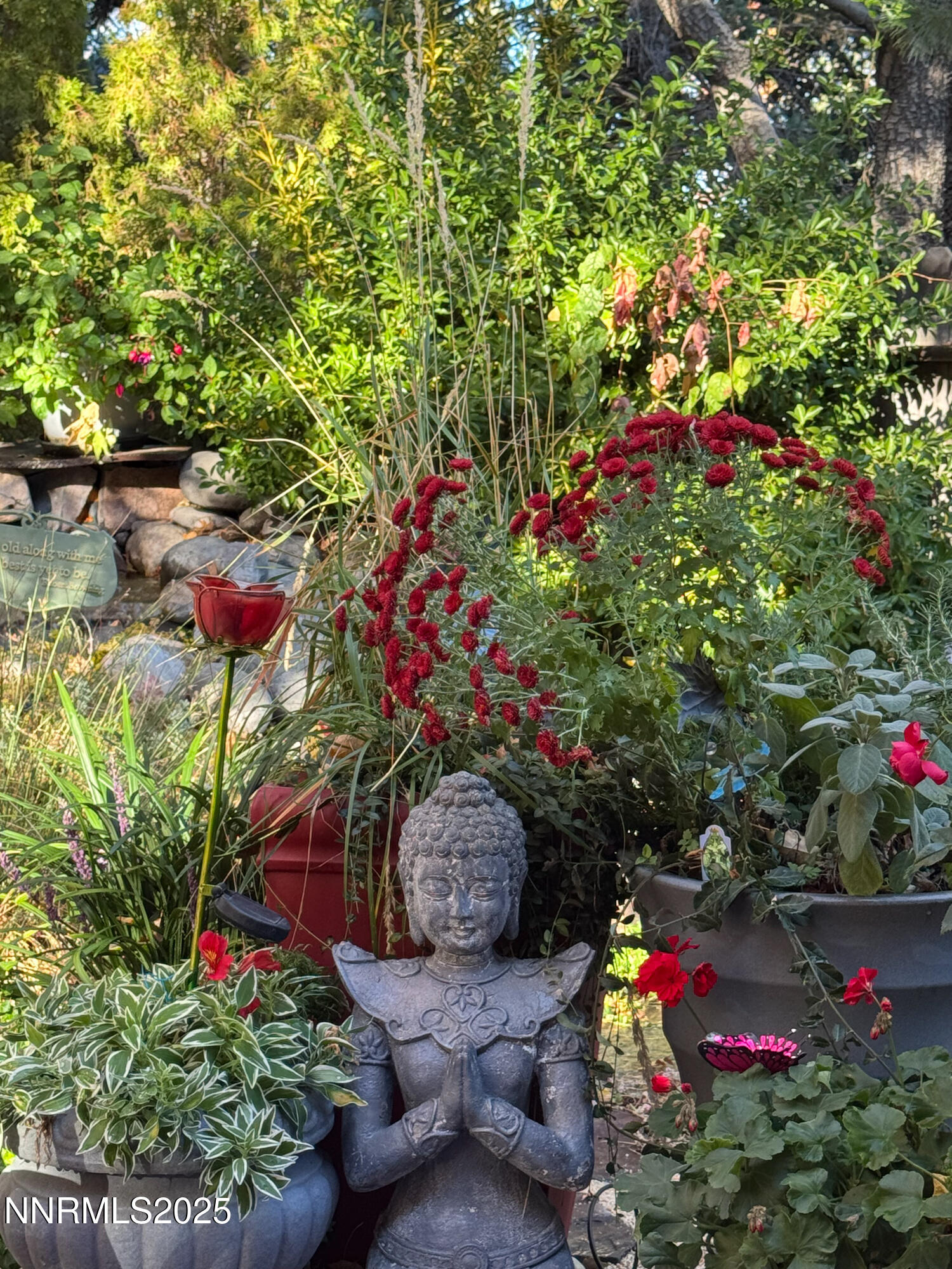 3900 Cashill Boulevard Reno, NV 89509 - Photo 61 of 62 Roxanne-003