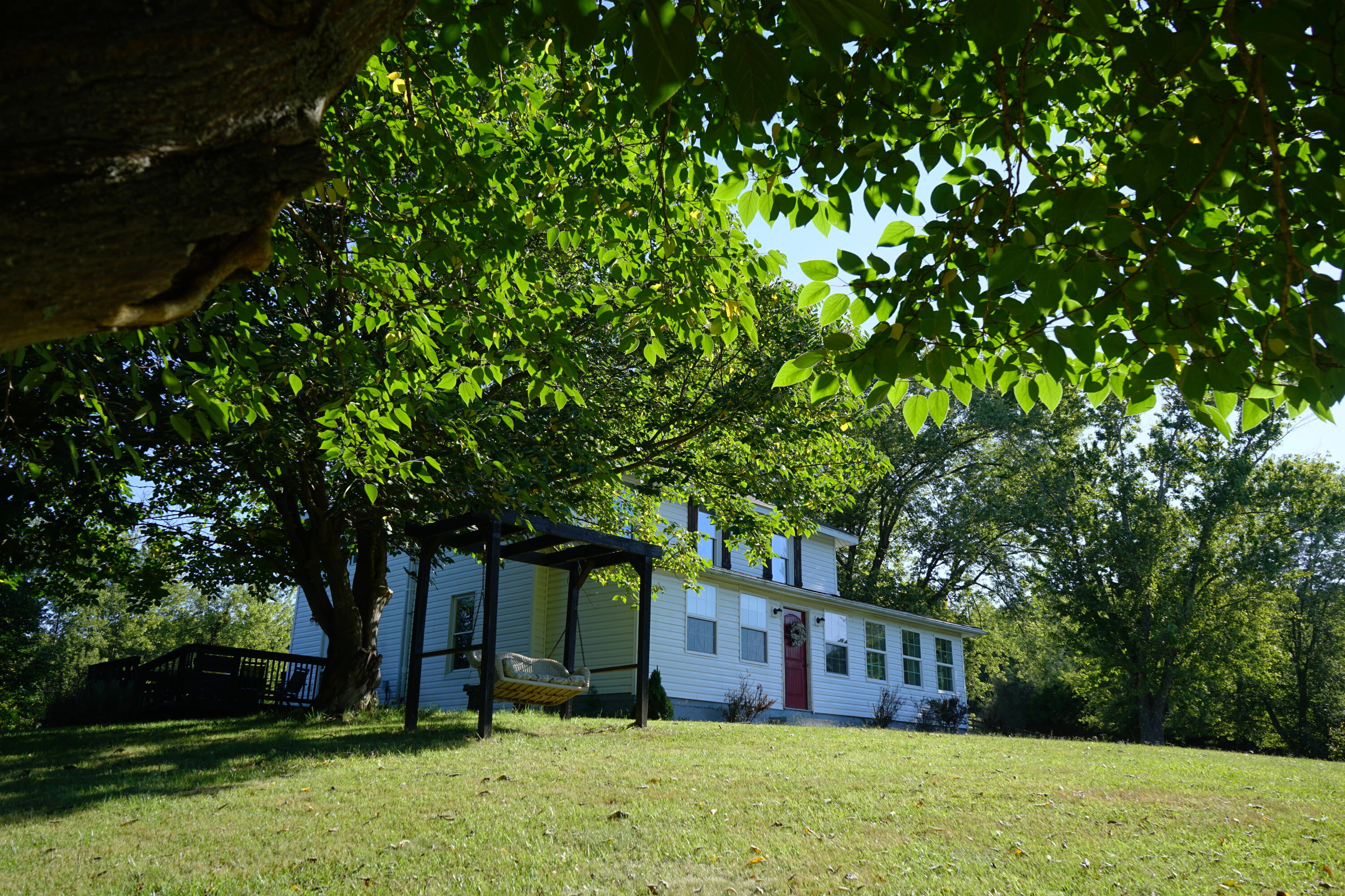 805 Longfield Road Fincastle, VA 24090 - Photo 3 of 75 Beautiful Setting w/ Lots of Character