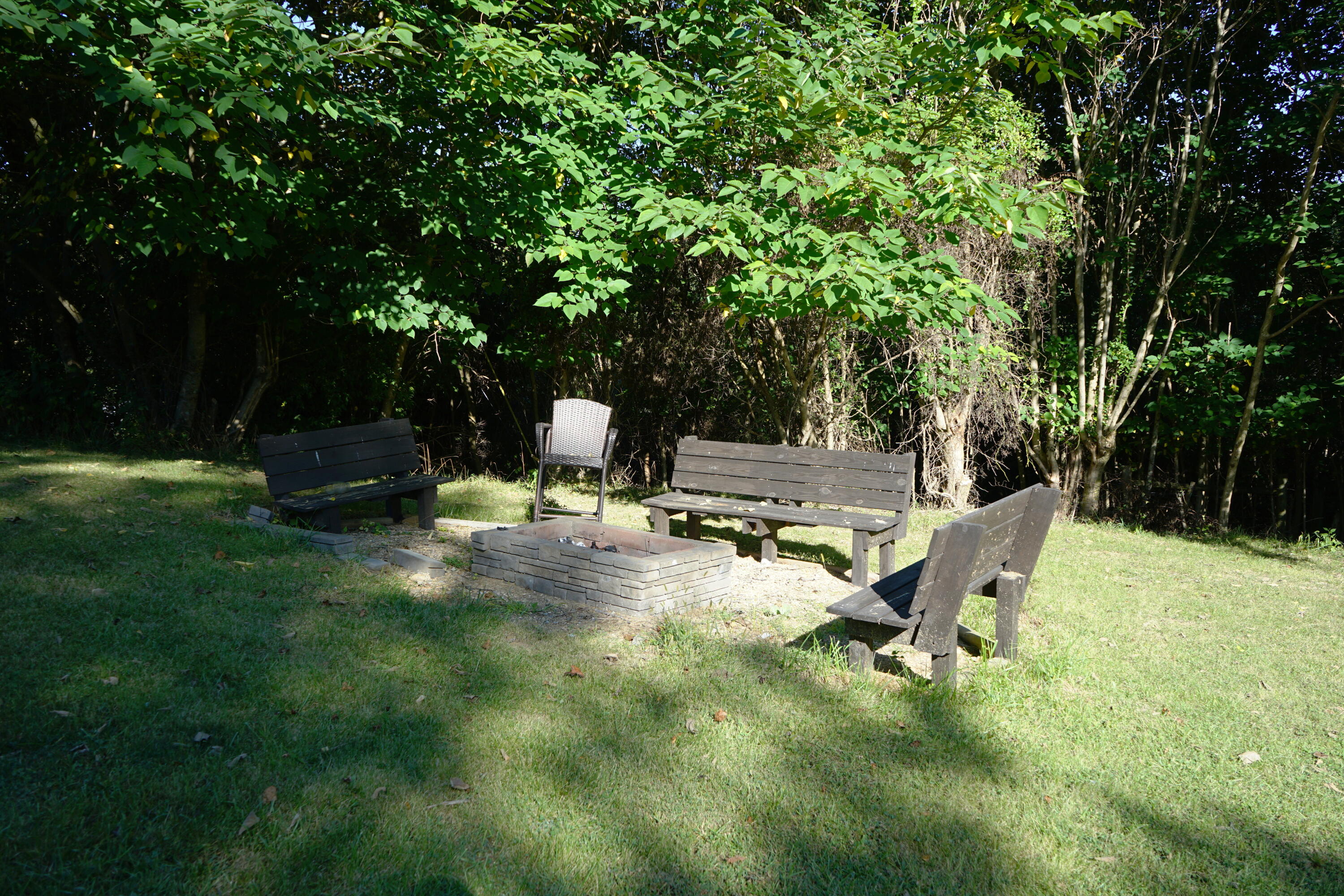 805 Longfield Road Fincastle, VA 24090 - Photo 52 of 75 Firepit in Backyard