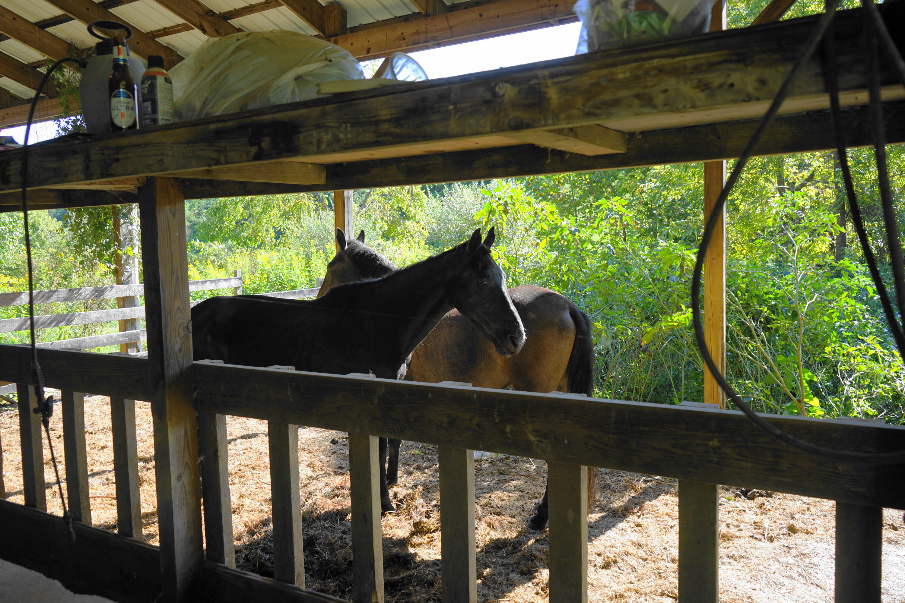 805 Longfield Road Fincastle, VA 24090 - Photo 72 of 75 Great Property for Horses!