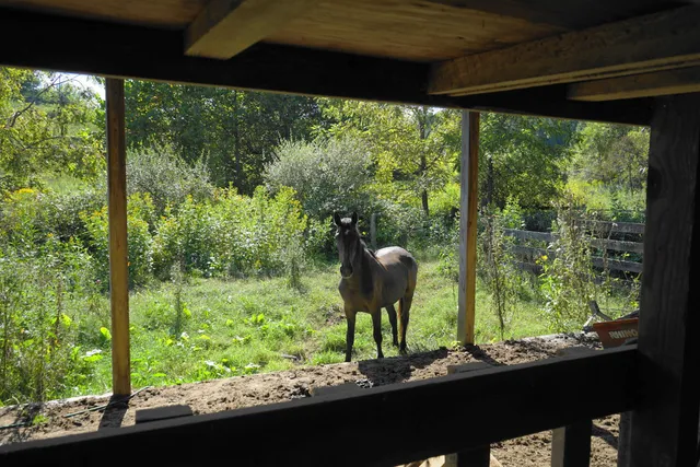 $564,500 | 805 Longfield Road, Fincastle, VA 24090