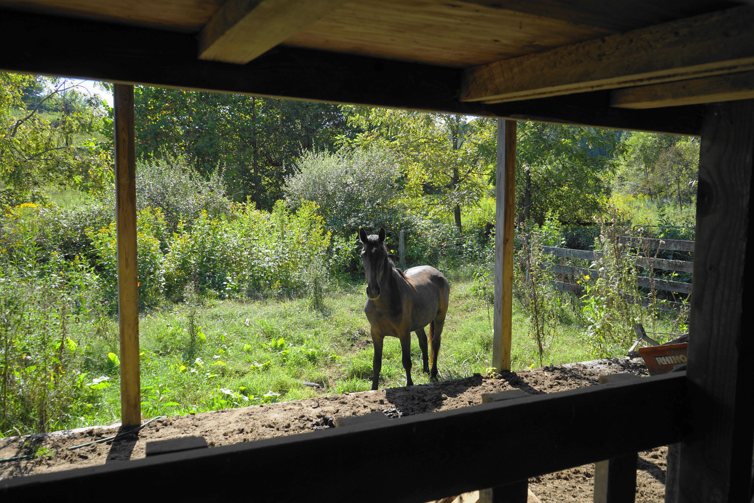 805 Longfield Road Fincastle, VA 24090 - Photo 73 of 75 Hello!