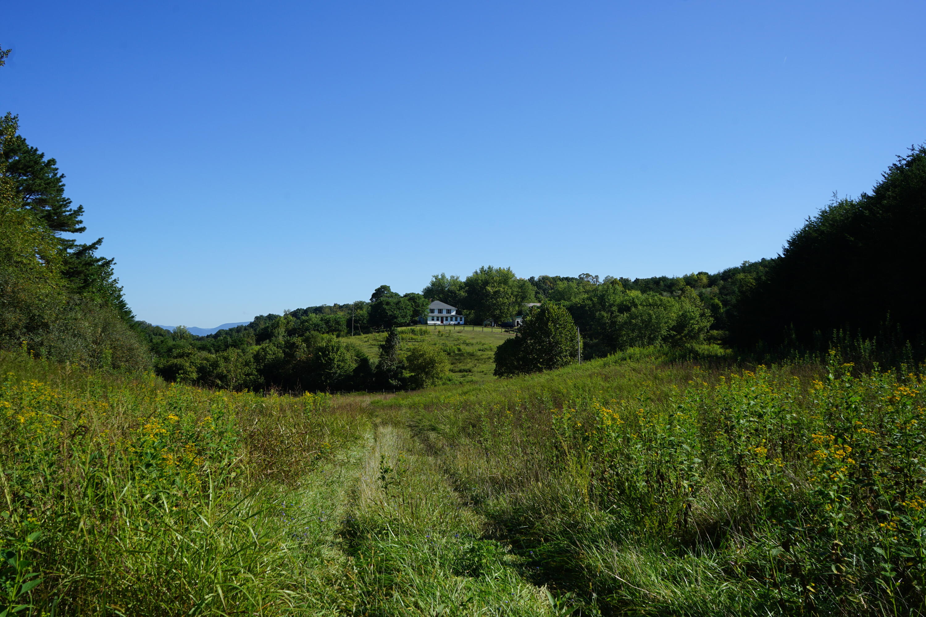 805 Longfield Road Fincastle, VA 24090 - Photo 75 of 75 Come See Me Soon!