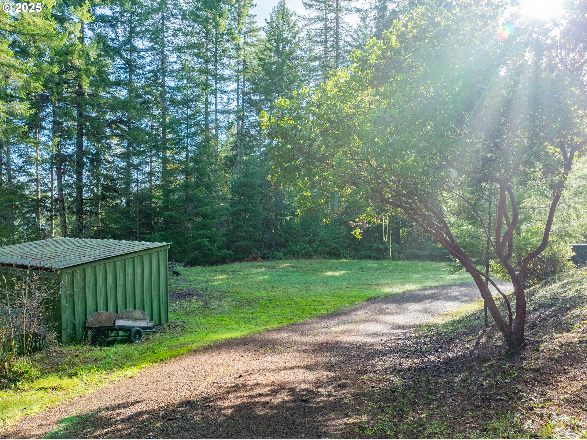 57247 Fairview Road Coquille, OR 97423 - Photo 41 of 45 a view of a yard and a house in the background