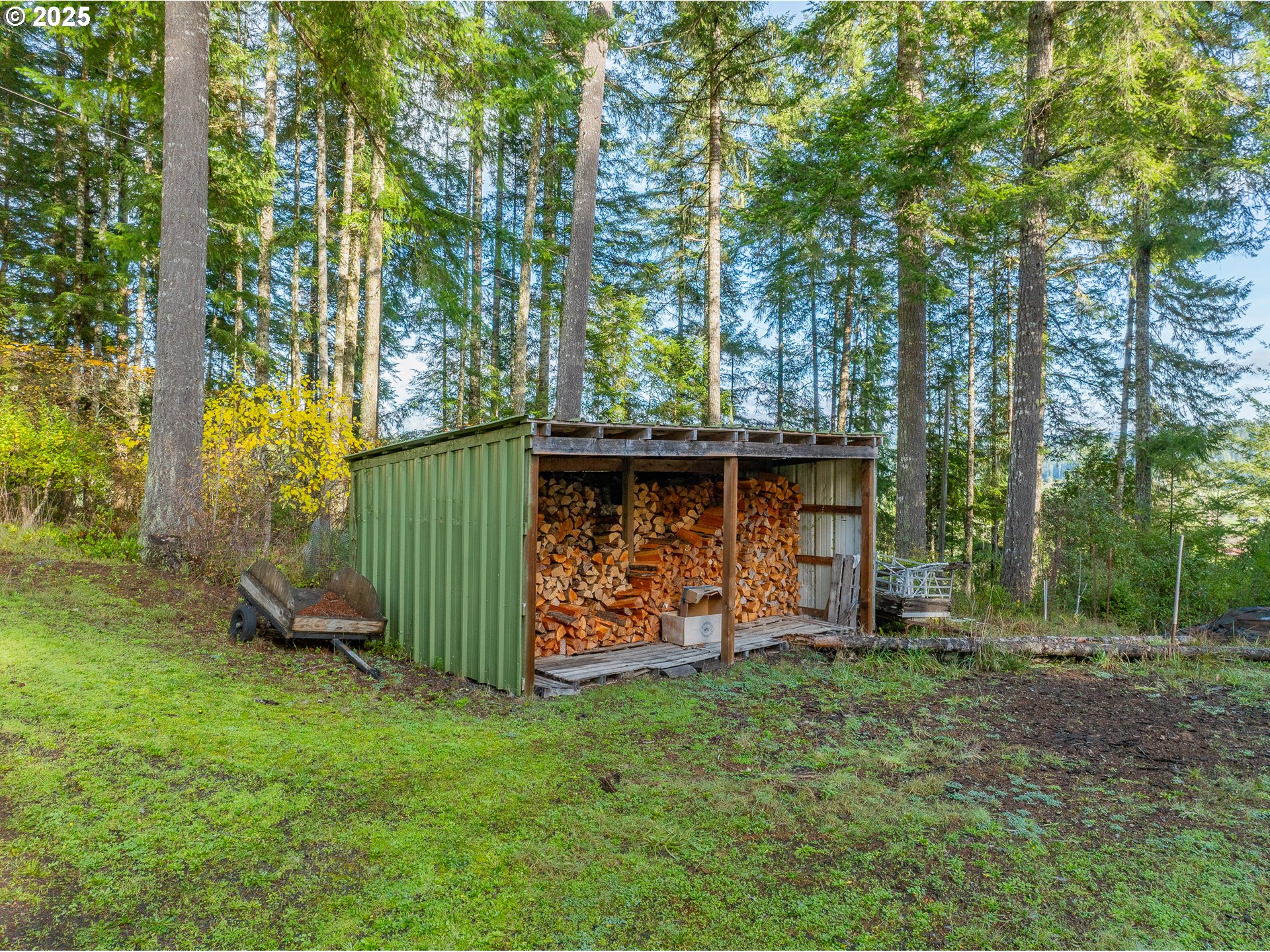 57247 Fairview Road Coquille, OR 97423 - Photo 42 of 45 a view of a backyard with plants and large trees