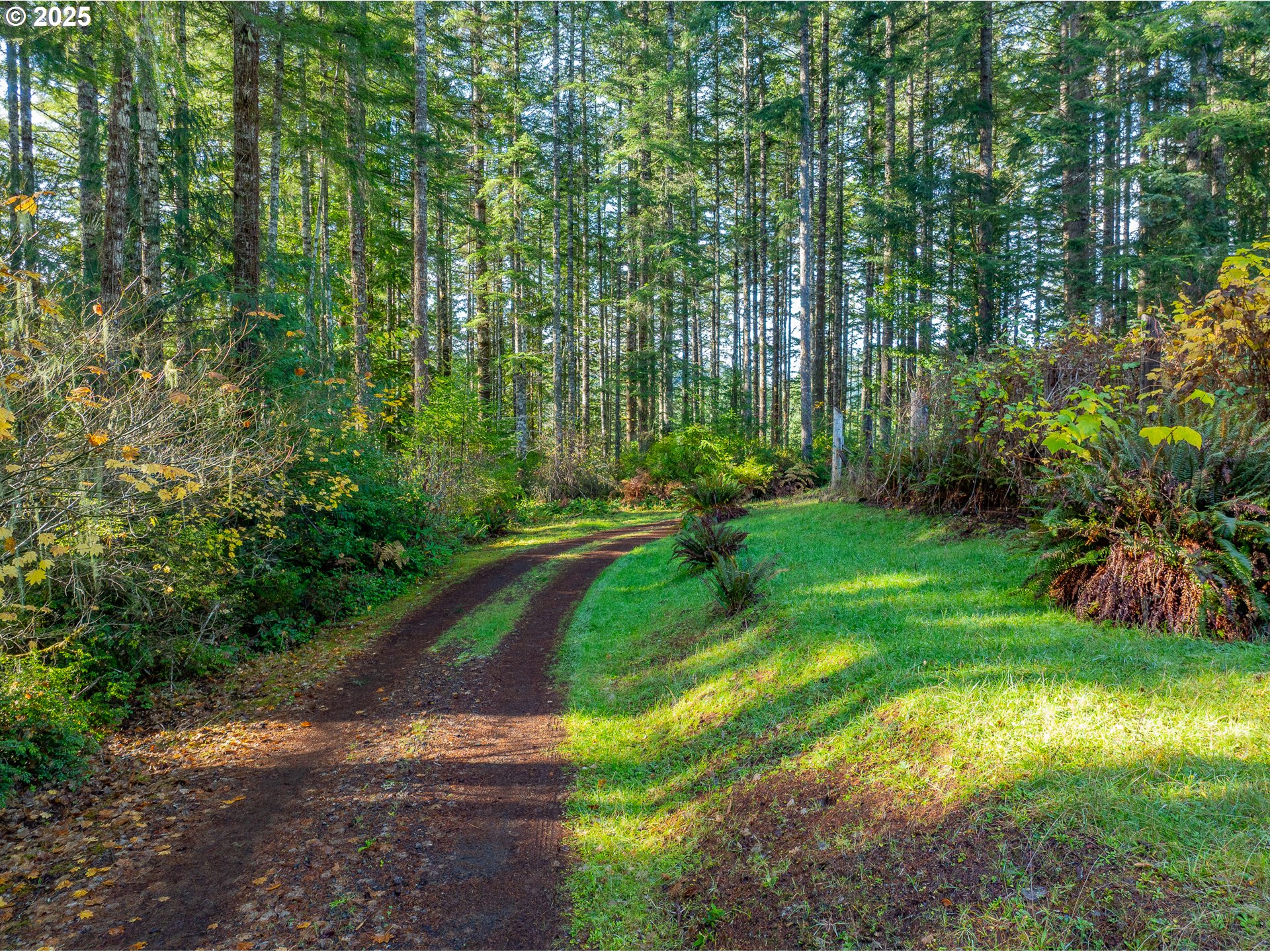 57247 Fairview Road Coquille, OR 97423 - Photo 44 of 45 a view of backyard with green space