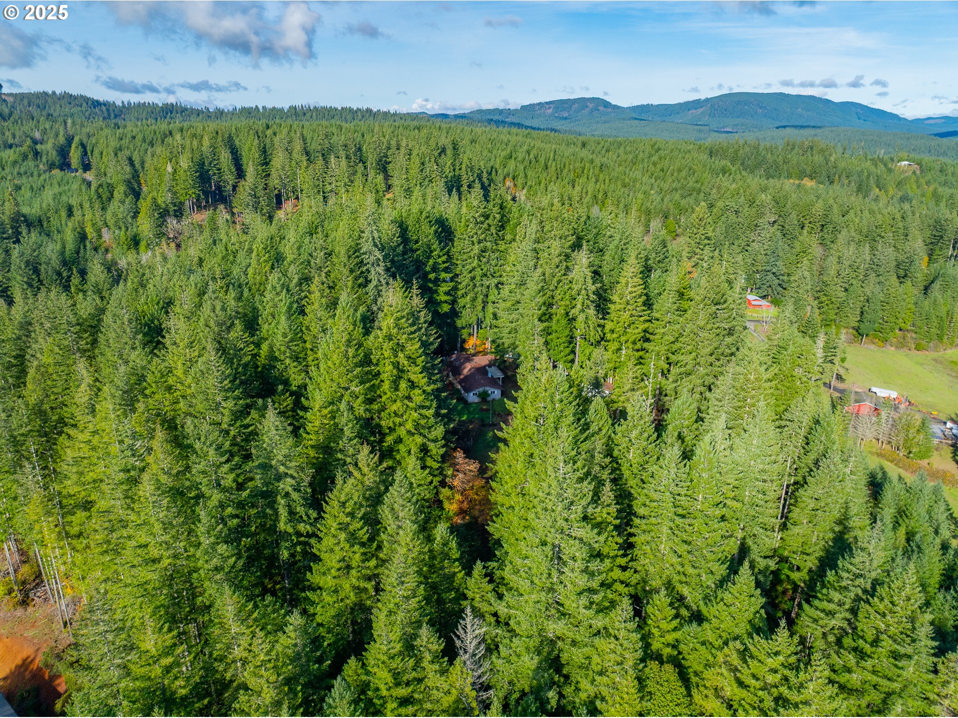 57247 Fairview Road Coquille, OR 97423 - Photo 45 of 45 a view of a lush green forest with a mountain