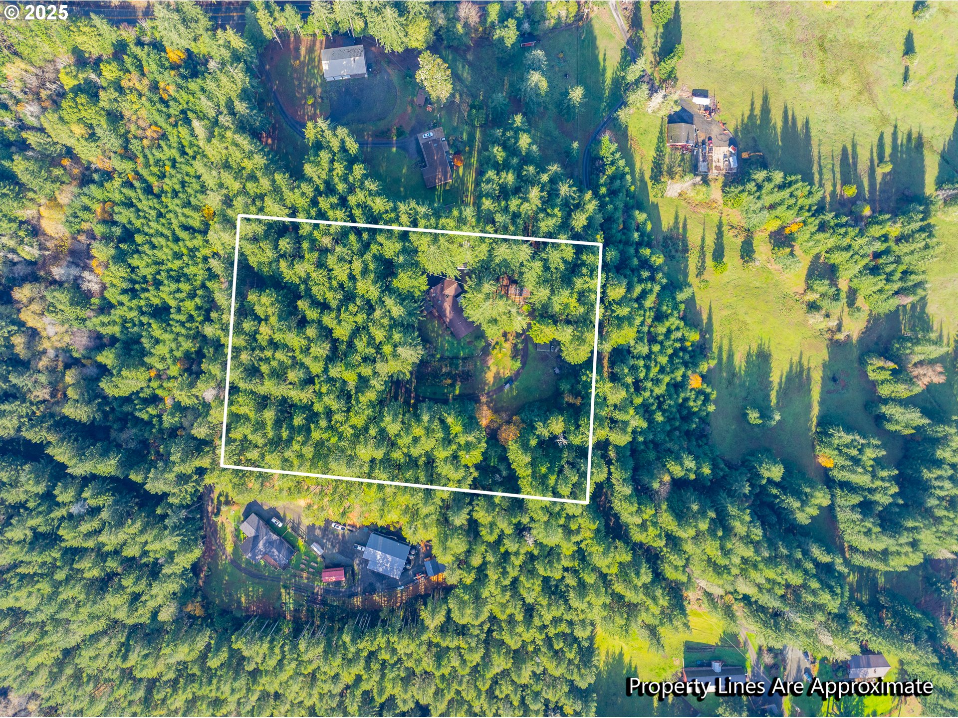 57247 Fairview Road Coquille, OR 97423 - Photo 6 of 45 a view of a bunch of plants and flowers