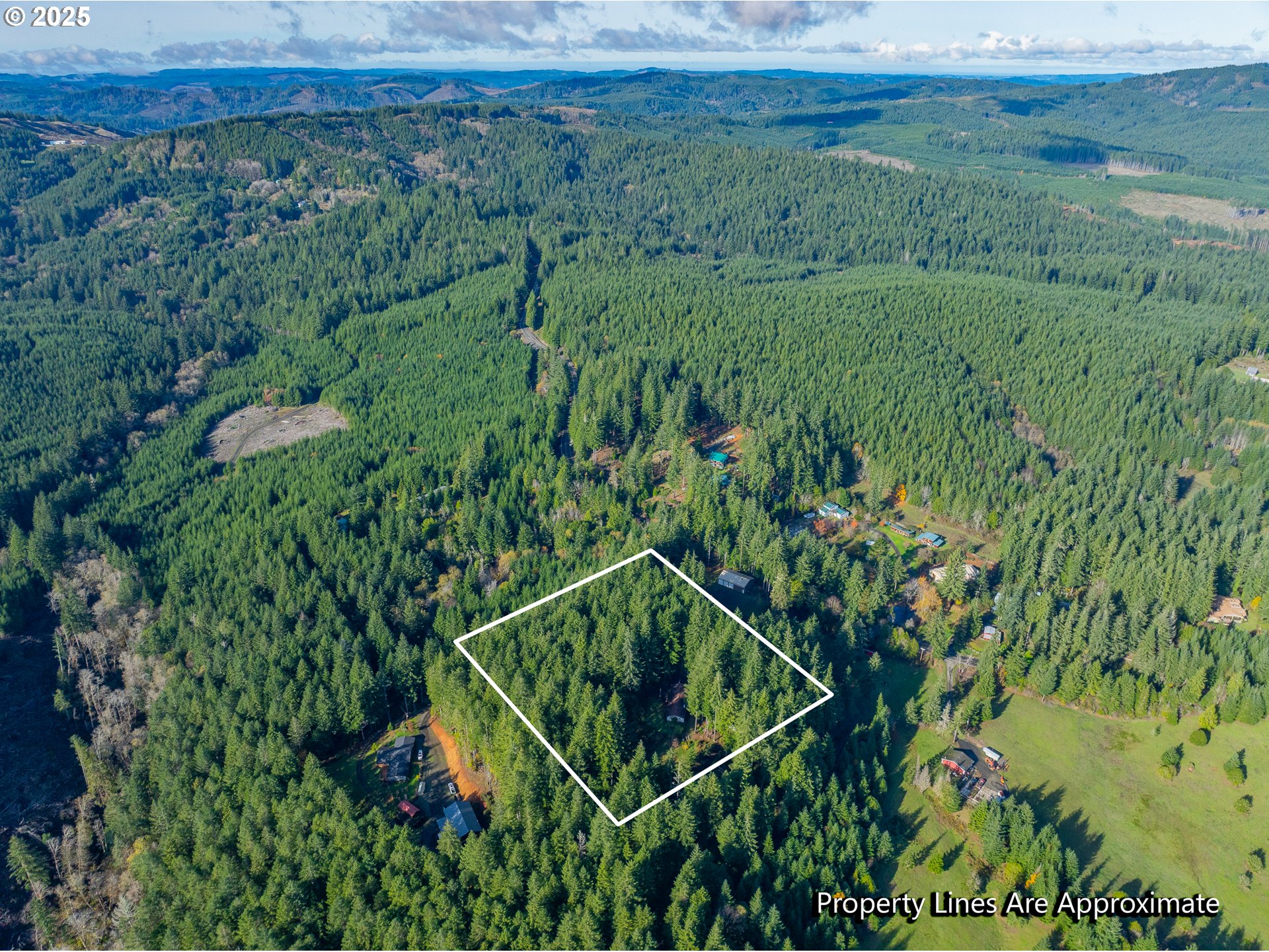 57247 Fairview Road Coquille, OR 97423 - Photo 7 of 45 a backyard of a house with lots of green space and trees