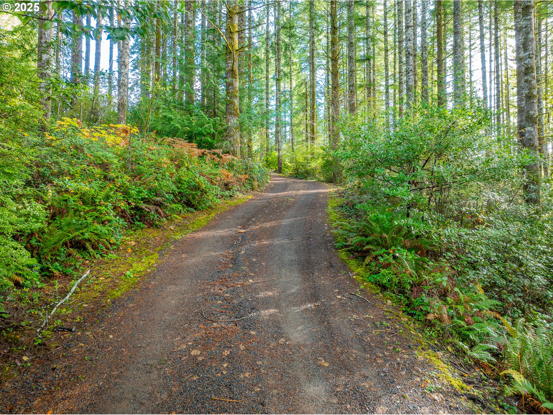 57247 Fairview Road Coquille, OR 97423 - Photo 9 of 45 a view of a garden with plants and a yard